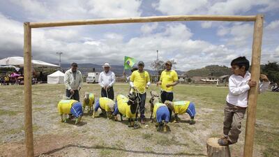 Men pose with their team of sheep dressed with the jerseys of Brazil’s football team before a Colombia vs Brazil football sheep match in Nobsa, Colombia on Sunday. The match was part of the International Poncho Day, celebrated every year in this region of central Colombia where local craftsmen make sheep wool ponchos using ancestral techniques. AP Photo/Javier Galeano
