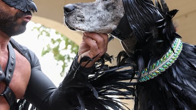 Steve Sanders and his great Dane Shadow, dressed as Maleficent. Reuters