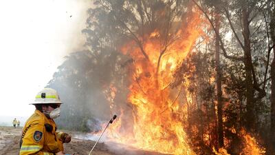 A firefighters backs away from the flames after lighting a controlled burn near Tomerong, Australia, Wednesday, Jan. 8, 2020, in an effort to contain a larger fire nearby. Around 2,300 firefighters in New South Wales state were making the most of relatively benign conditions by frantically consolidating containment lines around more than 110 blazes and patrolling for lightning strikes, state Rural Fire Service Commissioner Shane Fitzsimmons said. (AP Photo/Rick Rycroft)