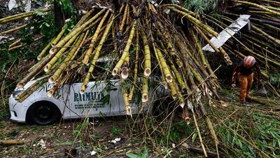 An emergency worker clears debris from Storm Wipha's monsoon rains in Quezon City, Philippines. EPA