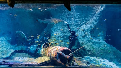 The National Aquarium in Al Qana, Abu Dhabi, is set to open on Friday, November 12