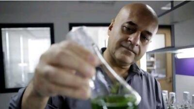 Kourosh Salehi-Ashtiani a scientist with NYUAD is testing algae to see which type produces the most oil for a potential renewable energy source in Abu Dhabi. Sammy Dallal / The National