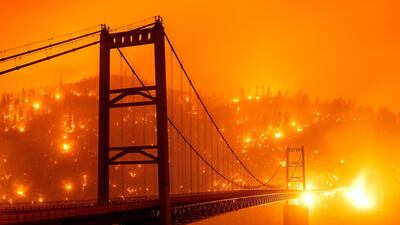 Deadly bushfires in California burnt more than 16,000 square kilometres of land last year — more than double the previous record for the most land burnt in a single year in the state. AP