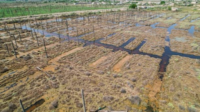 The economic impact of global warming is likely to rise, particularly if mitigation and adaptation efforts are not accelerated, S&P Global Ratings said. Photo: NRC