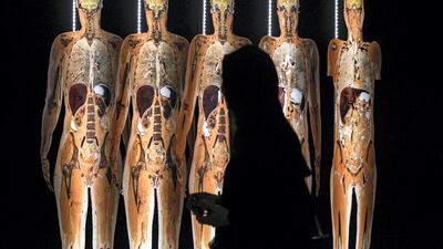 The Body Museum will be on display in the UAE capital for six months.