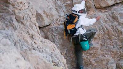 Mr al Hebsy on the cliff face, with a bucket at the ready to collect the honeycomb and wearing a beekeeper's suit to guard against stings, to which he is allergic.