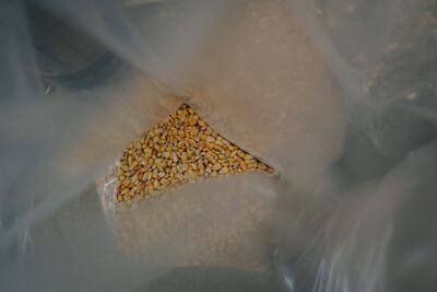 The international agreement that allows Ukraine to export wheat, corn, sunflower oil and other agricultural products across the globe is set to expire on May 18. Bloomberg