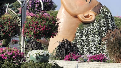 Dubai Miracle Garden opens for the winter season on November 1, 2020. Chris Whiteoak / The National