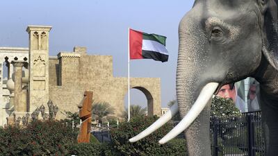 UAE flags at Global Village. Chris Whiteoak / The National