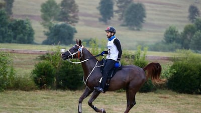 Sheikh Hamdan bin Mohammed, Crown Prince of Dubai, takes part in the Endurance Competition in the FEI World Equestrian Games in Tryon, North Carolina. Courtesy Dubai Media Office