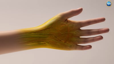 Scientists have discovered a way to make skin transparent using yellow food dye. Photo: US National Science Foundation