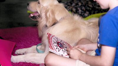 Reading to dogs improve confidence in children as they are not corrected by the animals or afraid to make mistakes in front of them. Reem Mohammed / The National