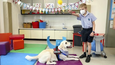 Children play games with Lotus.