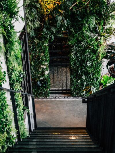 The interior planting and glass staircase