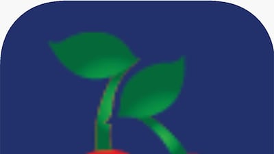 Kibson's - for fresh produce delivery at fair prices.