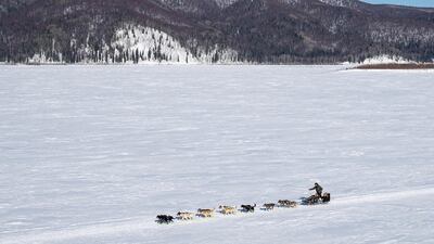 Brent Sass heads down the Yukon River between Ruby and Galena, Alaska, during the Iditarod. AP