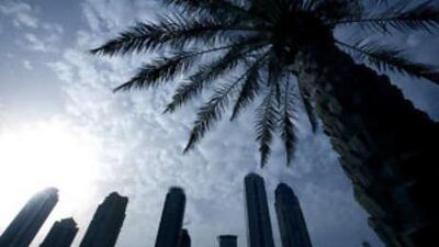 Developers and agents are reducing staff numbers for the first time in four years.