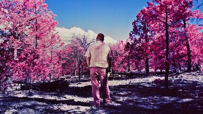 Alejandra Aragon, Mexico, Shortlist, Professional competition, Creative, Sony World Photography Awards.