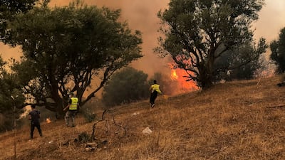 Dozens of forest fires have hit mountainous areas in northern Algeria, mainly in Tizi Ouzou, the main province of the Kabylie region east of Algiers.