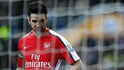 Cesc Fabregas has established himself as one of Europe's best midfielders in his seven years in North London.