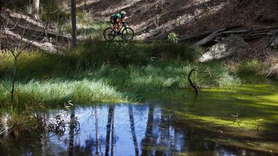 A cyclist competes during Stage 2 of the Absa Cape Epic mountain bike race on Tuesday in Elgin, South Africa. Nic Bothma / EPA