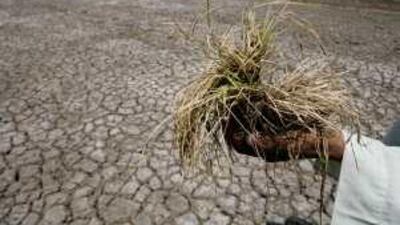 Gulf funds are buying up farmland in Africa and elsewhere, but these places also have hungry populations.