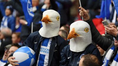 Brighton fans wear seagull masks prior to the FA Cup Semi Final. Getty Images