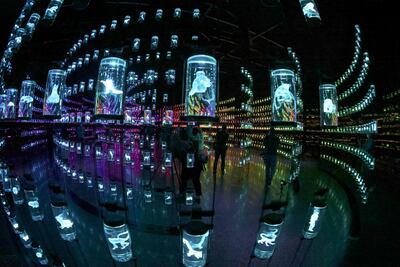 The Library in the Museum of The Future. AFP