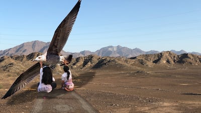 Alia Al Gaoud's NFT work 'Flight' is part of the 50/50 exhibit. Photo: Dubai Culture