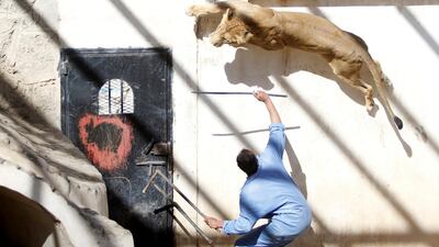 A coach uses a stick to provoke a lioness from the pride of Frans, a lion previously owned by Yemen's ex-president Ali Abdullah Saleh at the Sanaa Zoo, Yemen January 20, 2020. Reuters