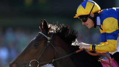 Richard Hughes, pictured aboard Chriselliam in the 2013 Breeders' Cup World Championships, is expected to ride on Thursday night at Meydan Racecourse in Dubai. Harry How / AFP
