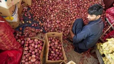 The price of fish and seafood soared by 8.5 per cent month-on-month in June, while vegetables cost 8.2 per cent more.