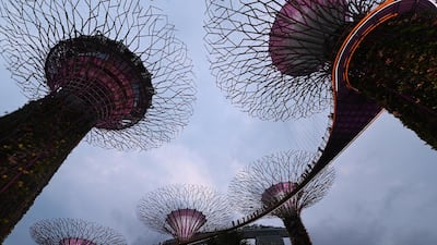 People walk on an aerial walkway connecting supertree structures at the Gardens by the Bay in Singapore. The fourth most popular destination, is among the cities to watch in 2019 as it increased regional travel and strong growth in the cruise sector. AFP