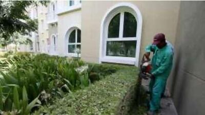 Private company workers working in the garden of Discovery Gardens residential area in Dubai.