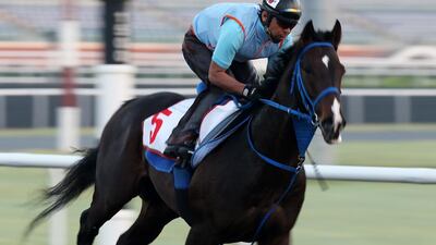 Hokko Tarumae (JPN) no 5 during the morning training at the Meydan racecourse in Dubai. Hokko Tarumae (JPN) will take part in the Dubai World Cup race tomorrow. Pawan Singh / The National
