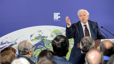 Sir David Attenborough speaks during the launch of the UK-hosted COP26 UN Climate Summit in 2020. Getty Images