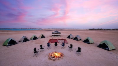 Get back to nature with a stay on Sir Bani Yas Island.