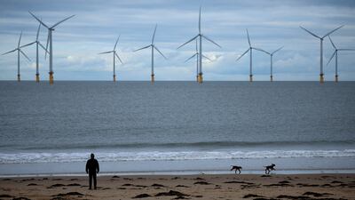 A man walks his dogs on the beach in front of Teesside wind farm in Redcar, Britain. Reuters