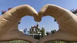 Dubai Miracle Garden will return for its seasonal run in October. Antonie Robertson / The National