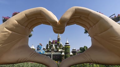 Dubai Miracle Garden will return for its seasonal run from October 8. Antonie Robertson / The National