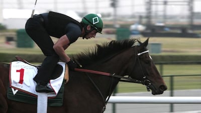 Royal Delta, a two-time Dubai World Cup winner, is trying to win the Breeders' Cup Distaff for the third time. Jeffrey E Biteng / The National