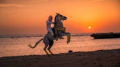 Al Malahi was one of three emerging Saudi photographers to win the competition