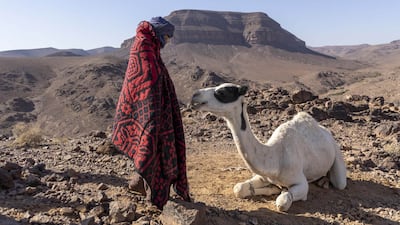 Yassir Drief in Zodi & Tehu: Princes Of The Desert. Photo: Sife Elamine