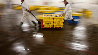 Workers move boxes of fish at the fish market in Grimsby. Phil Noble / Reuters