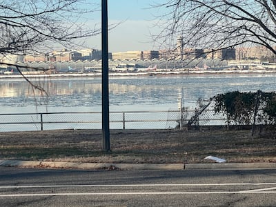Ronald Reagan National Airport was eerily quiet after flights were grounded following a collision between a passenger jet and a military helicopter. Cody Combs / The National