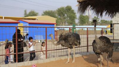 During the summer the animals will be kept in their own chilled isolation rooms to protect them from the unforgiving temperatures. Sarah Dea / The National