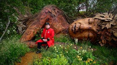 A Chelsea pensioner in traditional red uniform sits among the flowers at the Campaign to Protect Rural England Garden: On The Edge this year