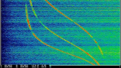 Anarchist: Data Feed with Doppler Tracks from a Satellite (Intercepted May 27, 2009), 2016. Courtesy Laura Poitras