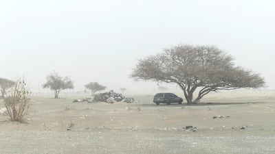 Extreme winds created sand storm conditions in the Emirates. Low visibility forced drivers to take extra caution while commuting.
