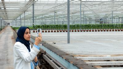 UAE government officials on a visit to the Netherlands as part of an ongoing dialogue on food security and educational cooperation. Photo: Rolf van Koppen